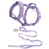 Comfort Control No-Pull Dog Harness and Multipurpose Leash Set - Purple