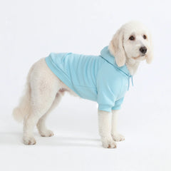 Essential Dog Hoodie - Baby Blue