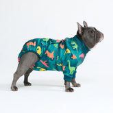 Dog Surgical Suit - Dinosaurs