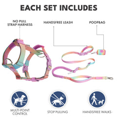 Comfort Control No-Pull Dog Harness and Multipurpose Leash Set - Pastel Icing