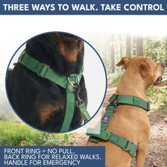 Comfort Control No-Pull Dog Harness and Multipurpose Leash Set - Green
