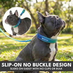 Martingale Collar and Multipurpose Leash Sets