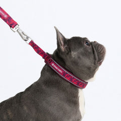 Cushioned Martingale Collar - Fuchsia Camo