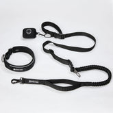 Martingale Collar and Multipurpose Leash Set - Black