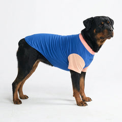 Sunblock Dog T-Shirt - Blue Hawaiian