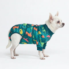 Dog Surgical Suit - Dinosaurs