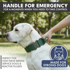 Comfort Control Collar and Multipurpose Leash Set - Green