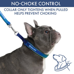 Martingale Collar and Multipurpose Leash Set - Lime Wave