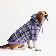 Purple Plaid Dog Hoodie