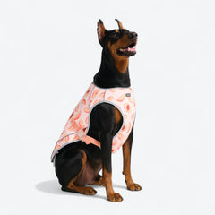 Dog Cooling Vest - Peaches