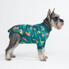 Dog Surgical Suit - Dinosaurs