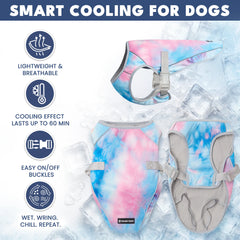 Dog Cooling Vest (2-pack) - Ice Blue & Snow Cone