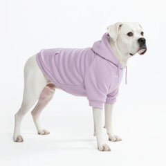 Essential Dog Hoodie - Lavender