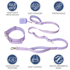 Comfort Control Collar and Multipurpose Leash Set - Lilac