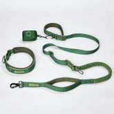 Martingale Collar and Multipurpose Leash Set - Army Green
