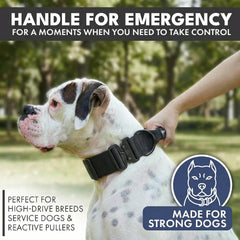 Comfort Control Collar - Black