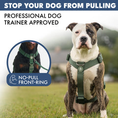 Comfort Control No-Pull Dog Harness - Green