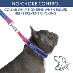 Martingale Collar and Multipurpose Leash Set - Snow Cone