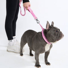 Cushioned Martingale Collar - Pink