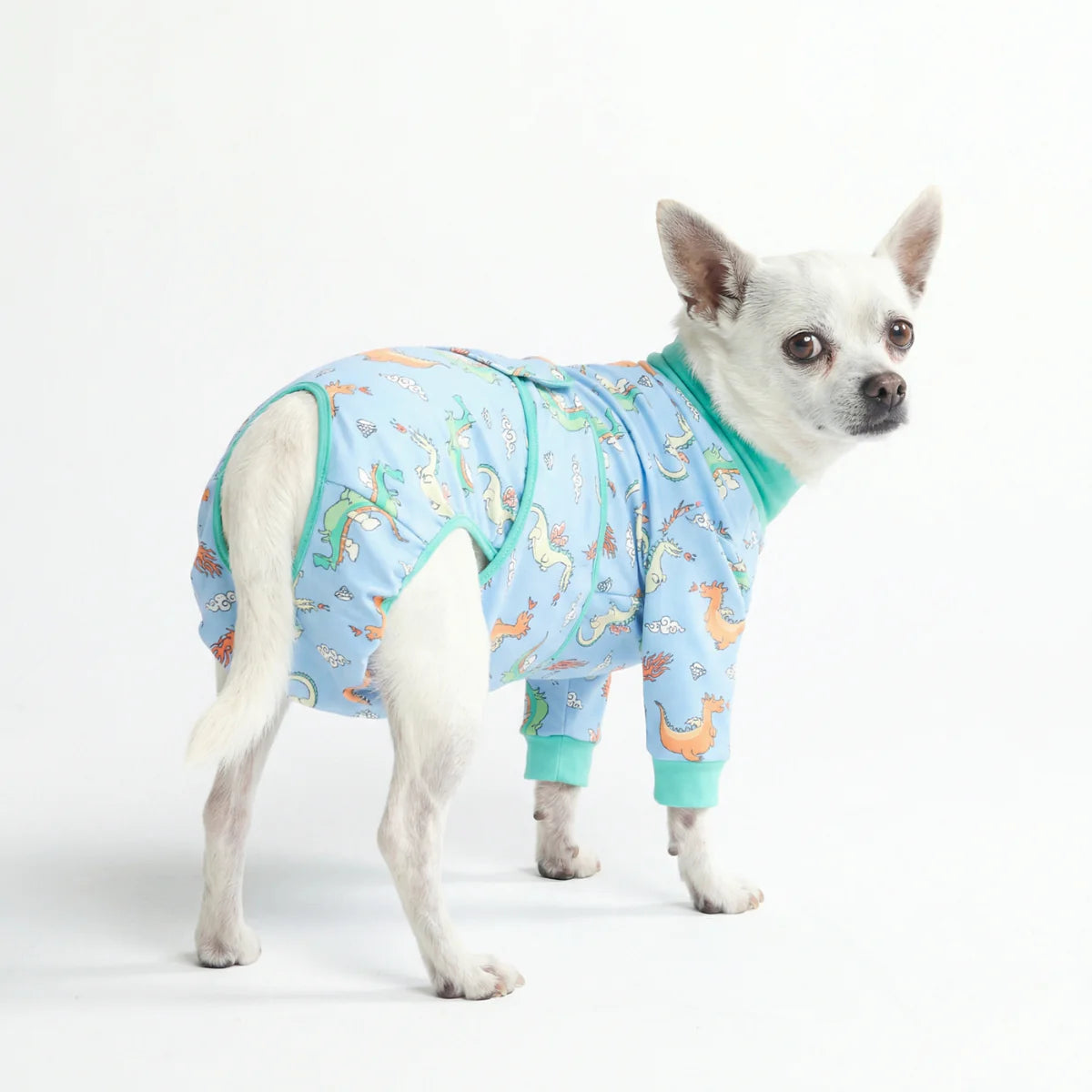 Dog Surgical Suit - Dragons
