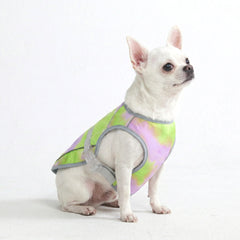 Dog Cooling Vest - Neon Purple
