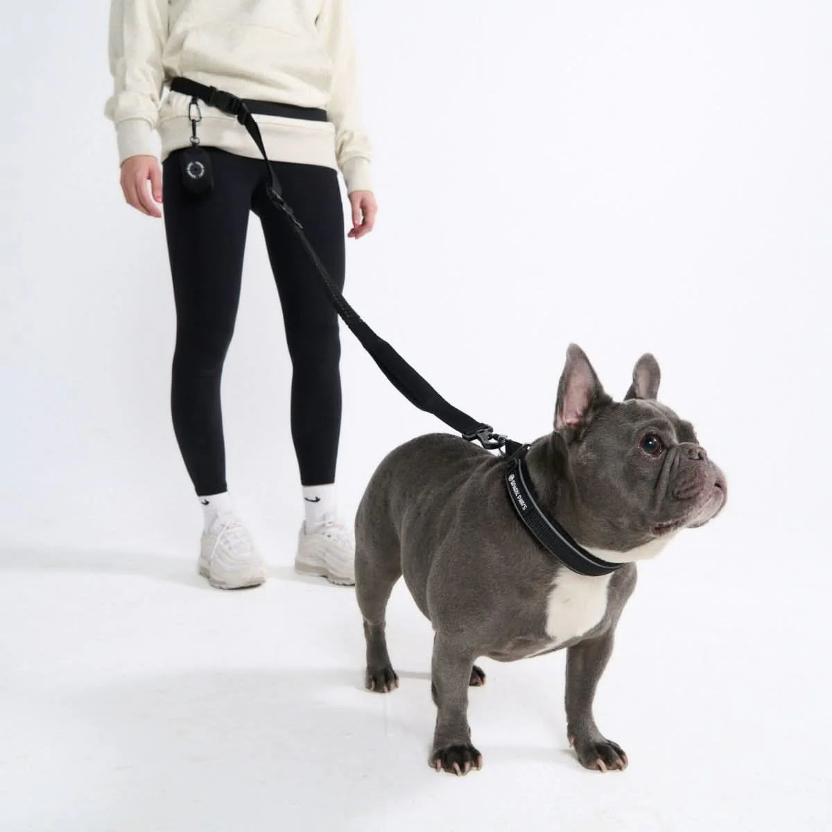 Multipurpose Seatbelt Handsfree Leash & Poop Bag Holder Set - Black