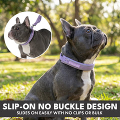 Martingale Collar Set - Lilac