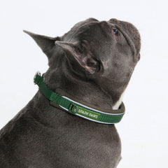 Cushioned Martingale Collar - Army Green