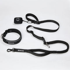 Martingale Collar and Multipurpose Leash Set - Black