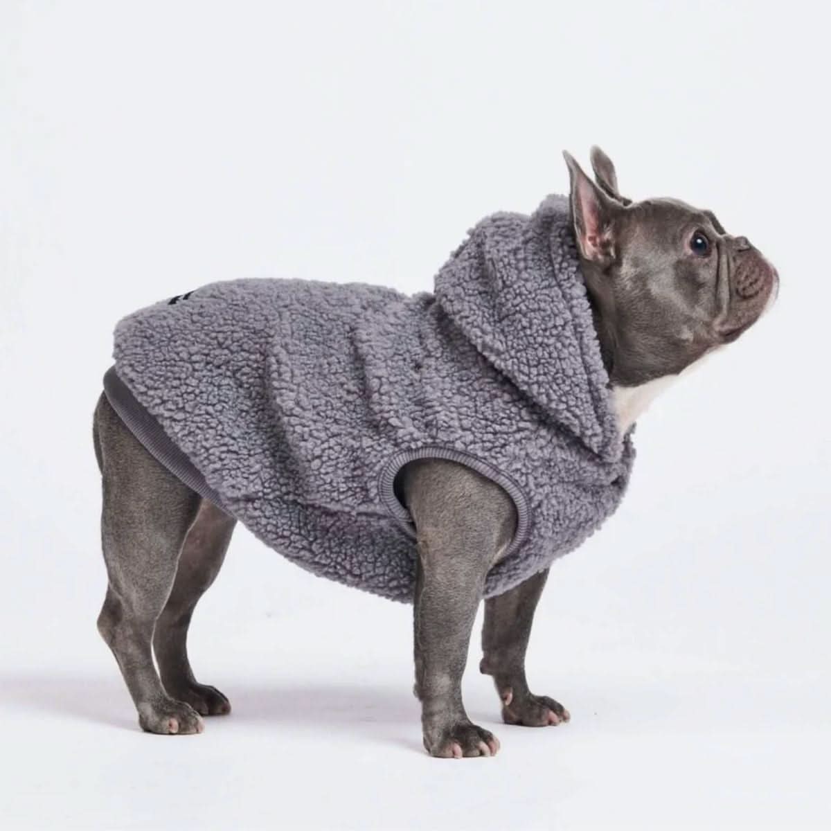 Teddy Sherpa Jacket - Grey