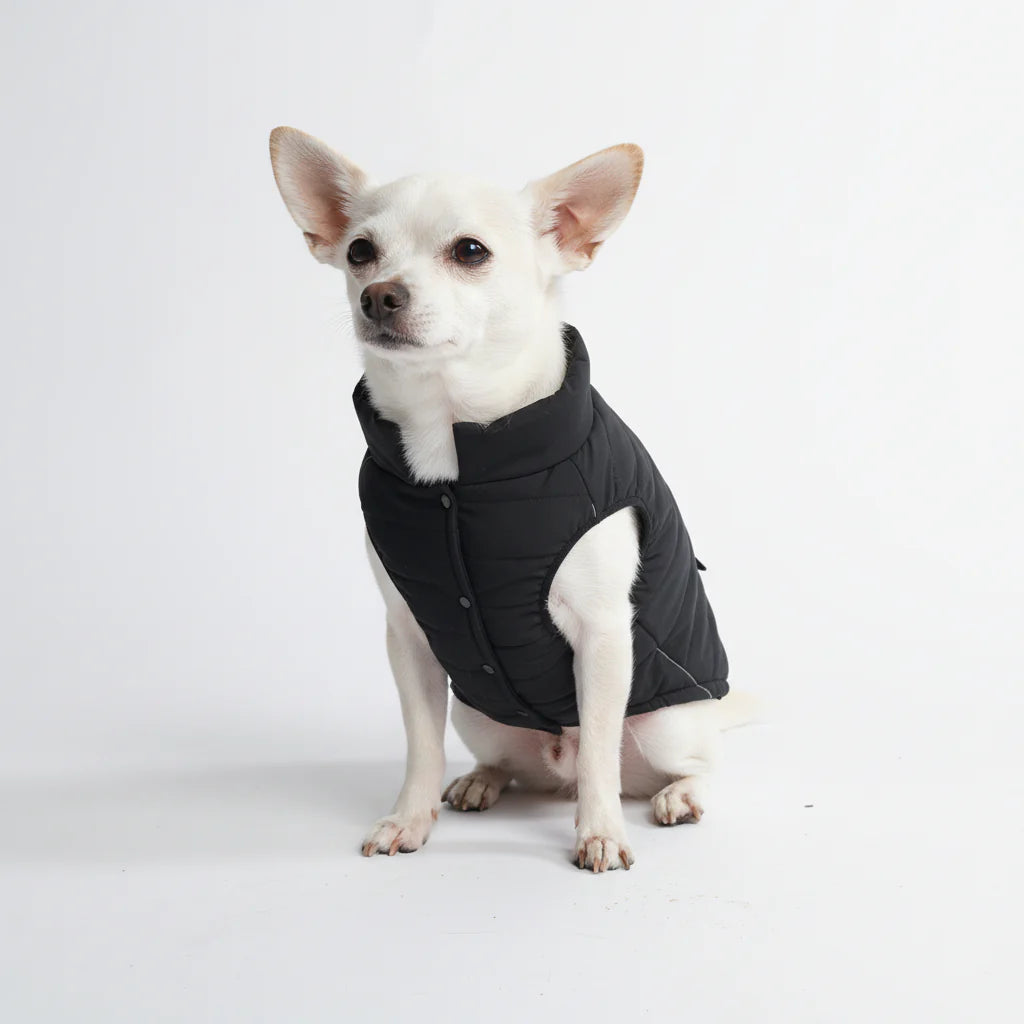 WarmShield Water-Resistant Jacket - Black