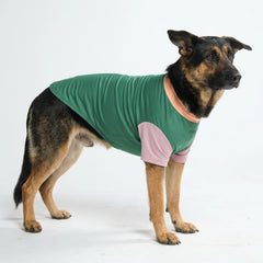 Sunblock Dog T-Shirt - Pistachio