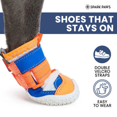 Hot Pavement Pawtector Dog Shoes - Orange Blue