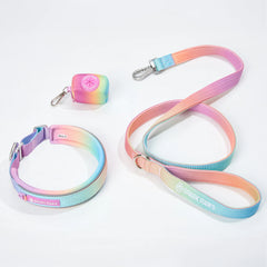 Martingale Collar Set - Pastel Icing