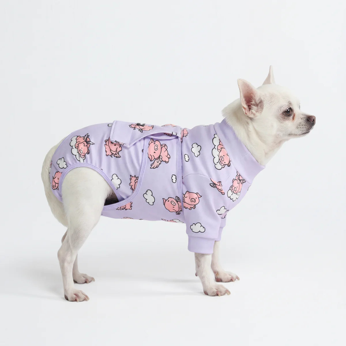 Dog Surgical Suit - When Pigs Fly