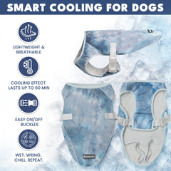 Dog Cooling Vest (2-pack) - Ice Blue & Tropical Storm