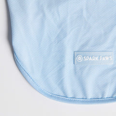 Sunblock Dog T-Shirt - Blue