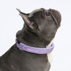 Cushioned Martingale Collar - Lilac