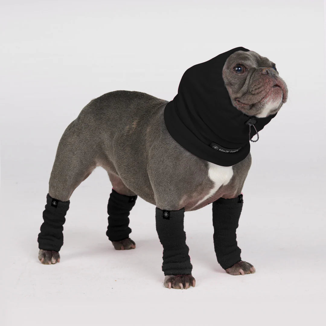 Leg Warmer and Earmuff Protector Set - Black