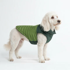 PuffShield Winter Jacket - Green