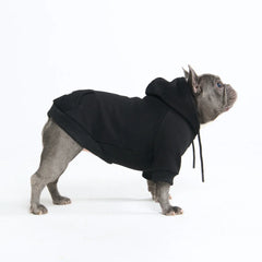 Essential Dog Hoodie - Black