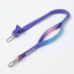 Multipurpose Seatbelt Handsfree Leash & Poop Bag Holder Set