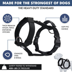 Comfort Control No-Pull Dog Harness - Black