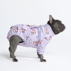 Dog Surgical Suit - When Pigs Fly