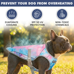Dog Cooling Vest (2-pack) - Ice Blue & Snow Cone