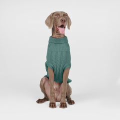 Cable Knit Dog Sweater - Pine Green