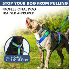 Comfort Control No-Pull Dog Harness Set - Lime Wave
