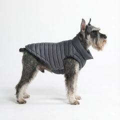 PuffShield Winter Jacket - Black