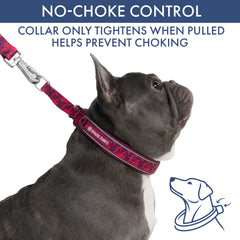 Martingale Collar Set - Fuchsia Camo