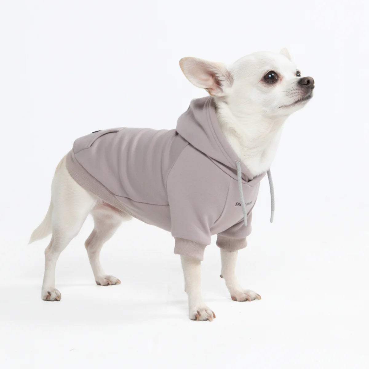 Essential Dog Hoodie - Clay